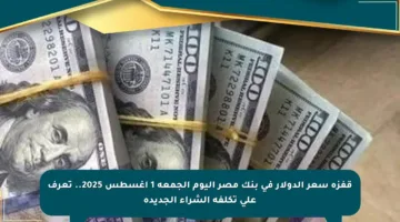 قفزة سعر الدولار في بنك مصر اليوم الجمعة 1 أغسطس 2025.. تعرف على تكلفة الشراء الجديدة